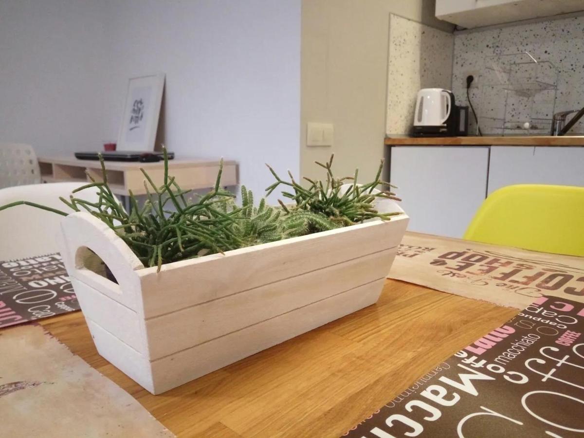 Quiet & Airy Modern Apt. Top Centre Free Parking صوفيا المظهر الخارجي الصورة